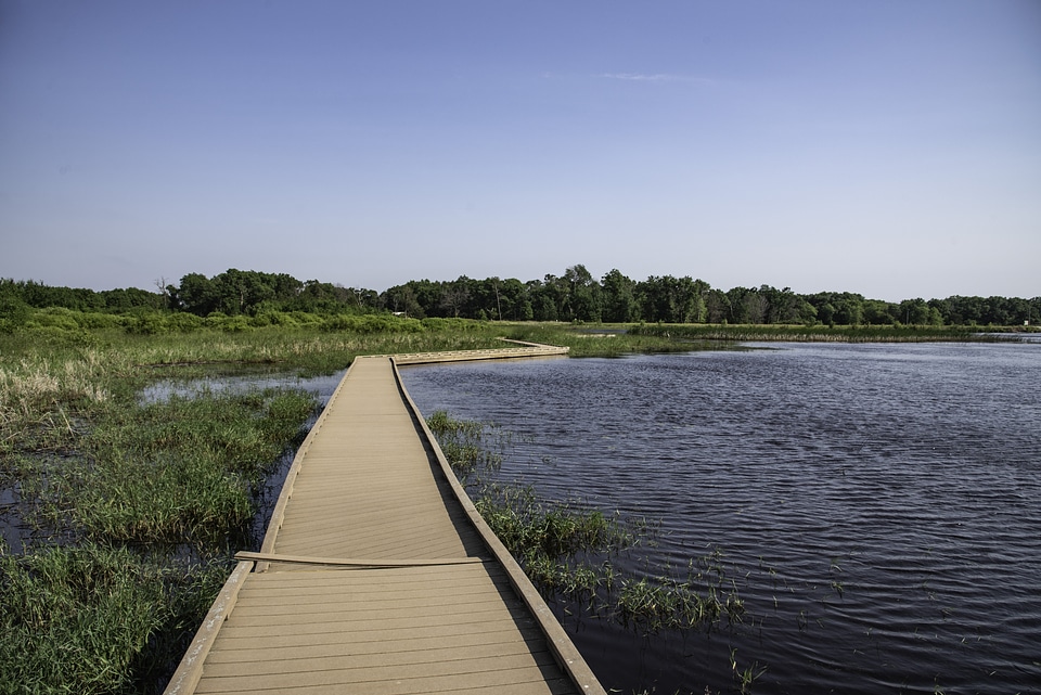 Boardwalk by the Pond