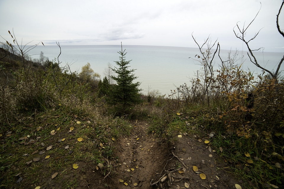 Bluff looking downwards towards lake Michigan