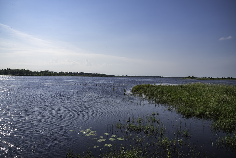 Pond and marsh landscape at Necedeh Wildlife Refuge