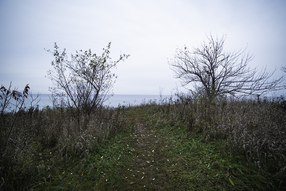 Pathway to the bluff overlook