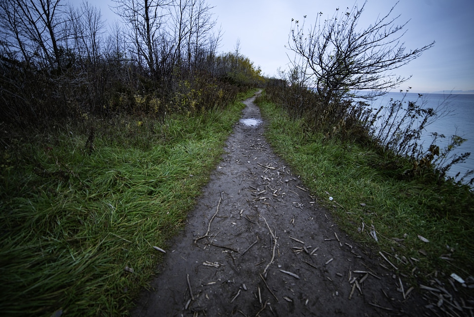 Muddy Hiking Path near the lake