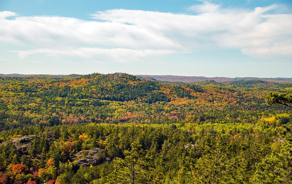 Forest Mountain colors in early autumn on Sugarloaf Mountain