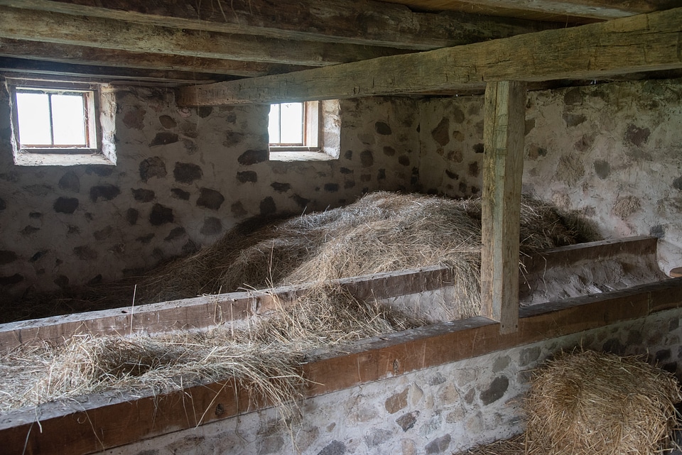 Hay Stored up in the feeding barn