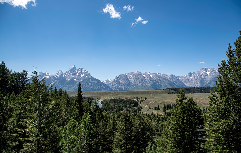 Mountains beyond the trees