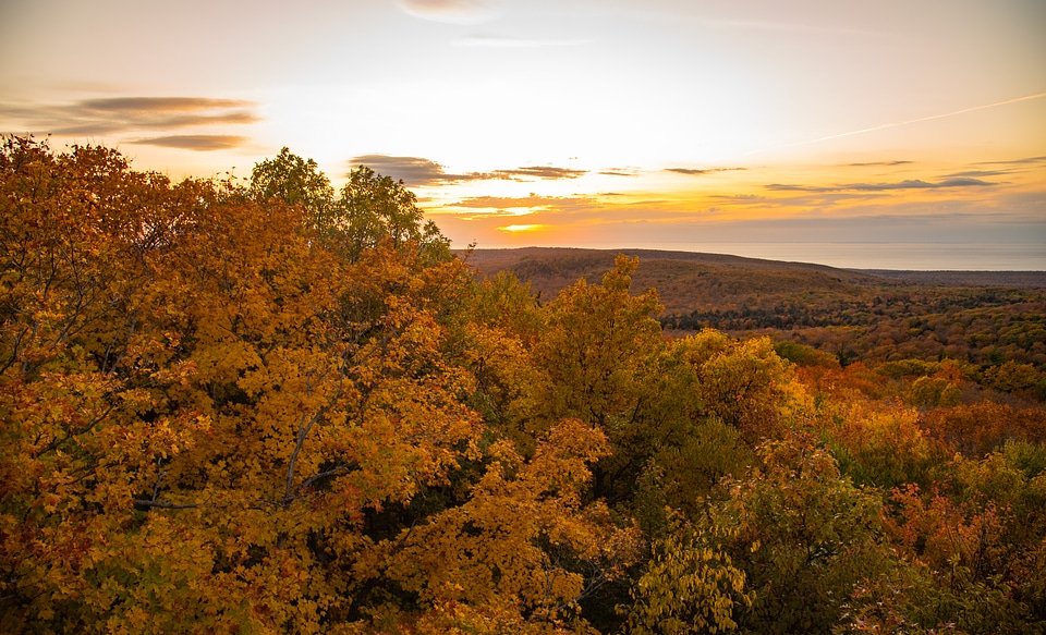 Orange sunset over the forest