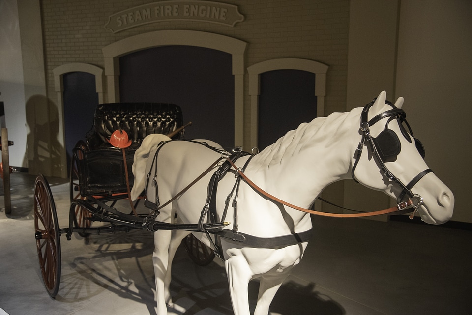 White horse pulling the Cart