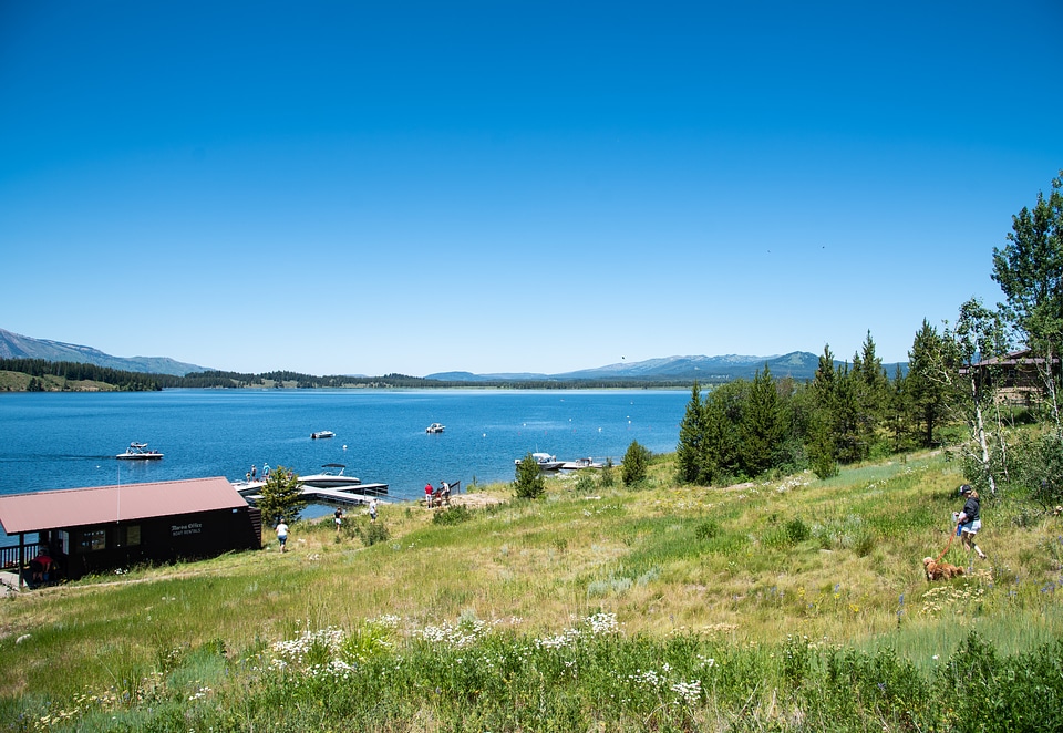 Lake Jackson shoreline and sky