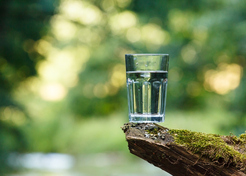 Clean Water on a log