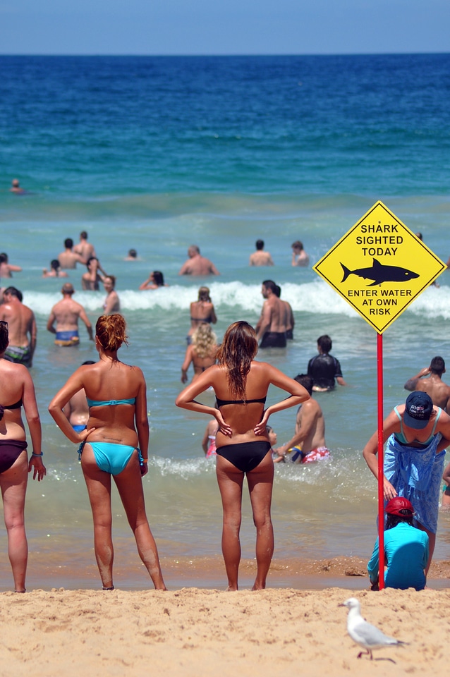 Swim at your own risk