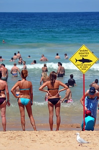 Swim at your own risk