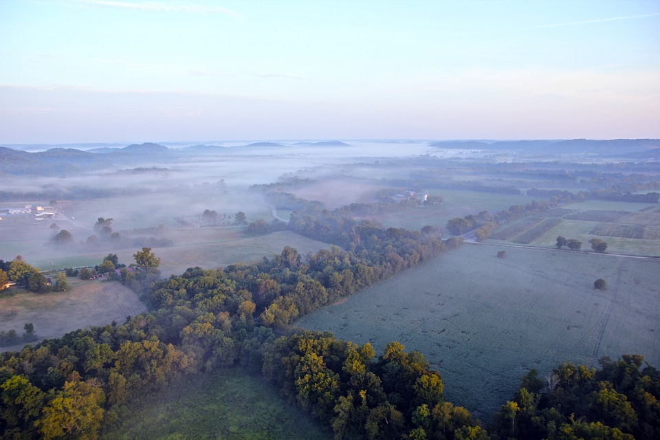 Aerial View of forests under fog
