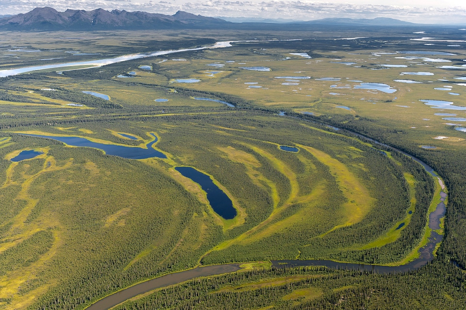 Overview of the swampy landscape in Alaska near the Kobuk River