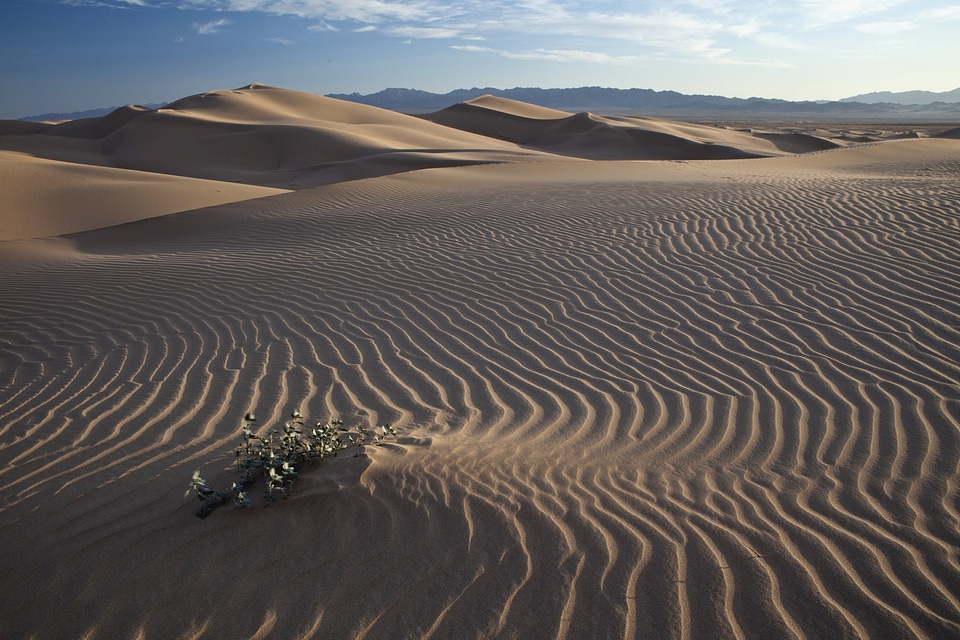 Cadiz Wilderness in the Desert in California
