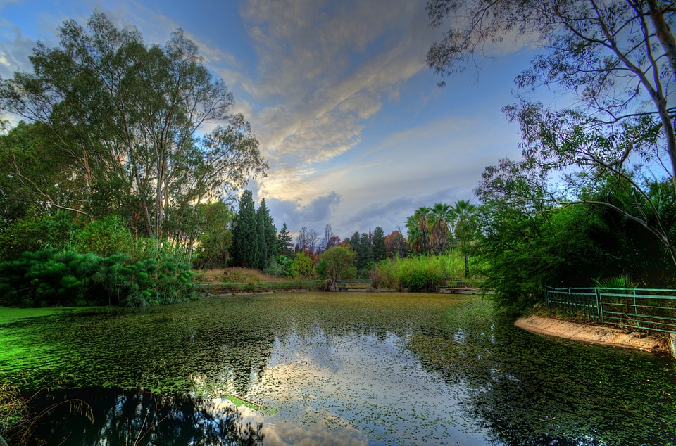 Pond and Landscape in Sicily