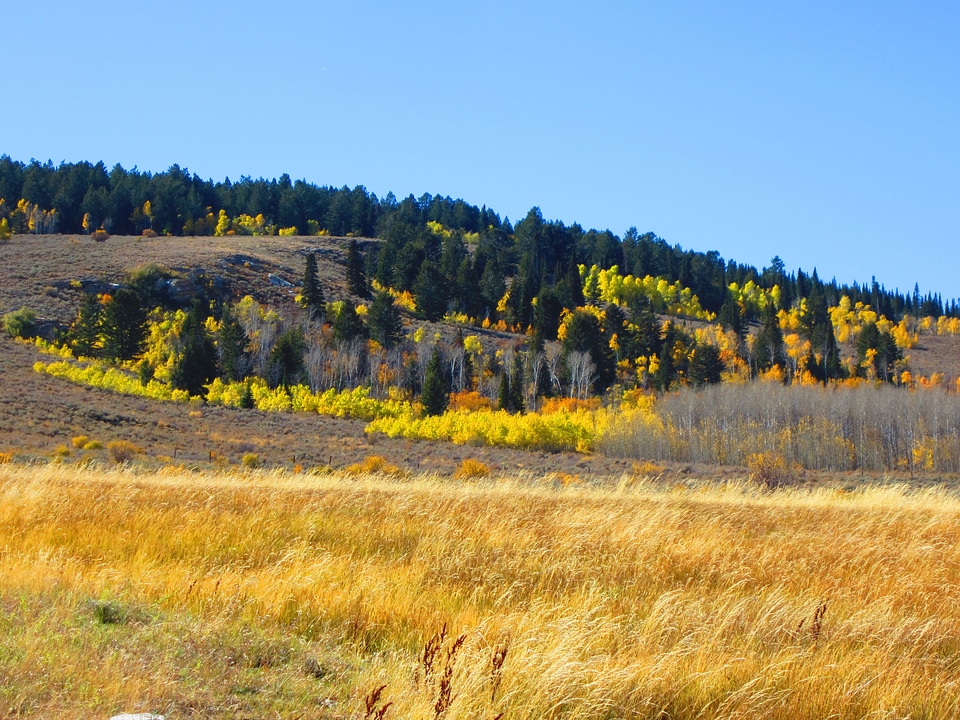 Raft River Range fall colors in Utah
