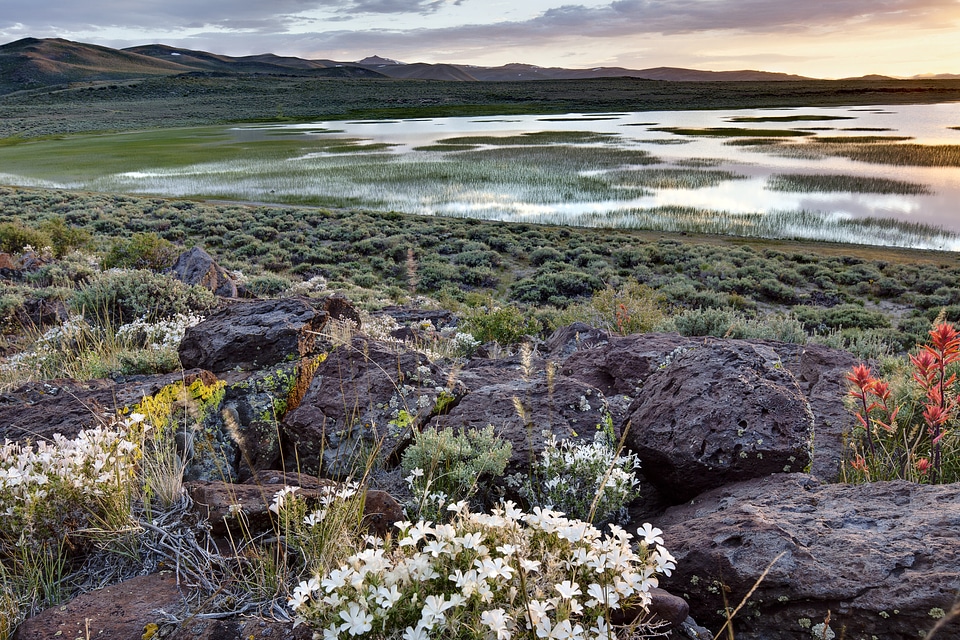 Landscape of Bodie Hills