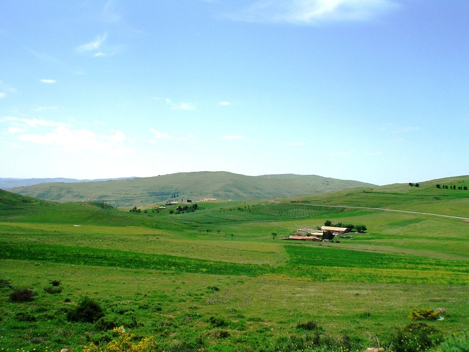 Plains, meadows, and grass, farmland in Algeria