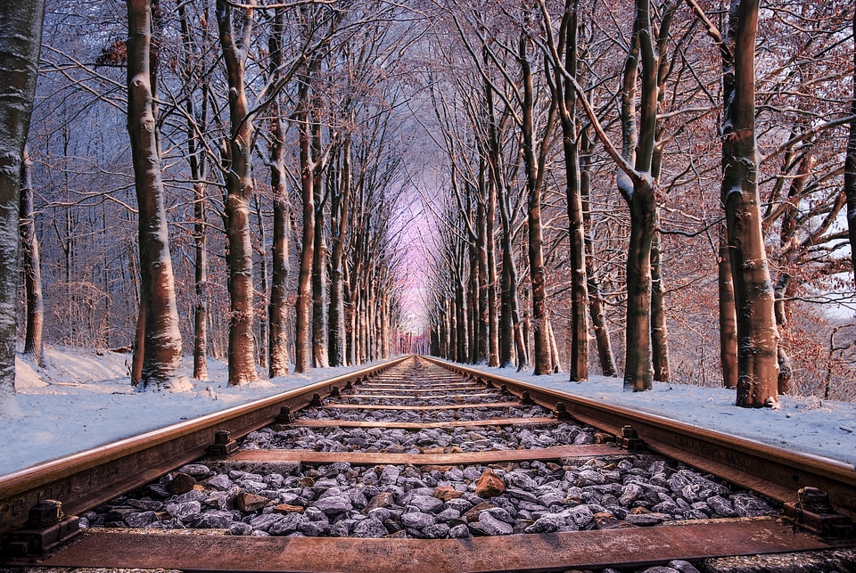 Railroad tracks with a corridor with trees
