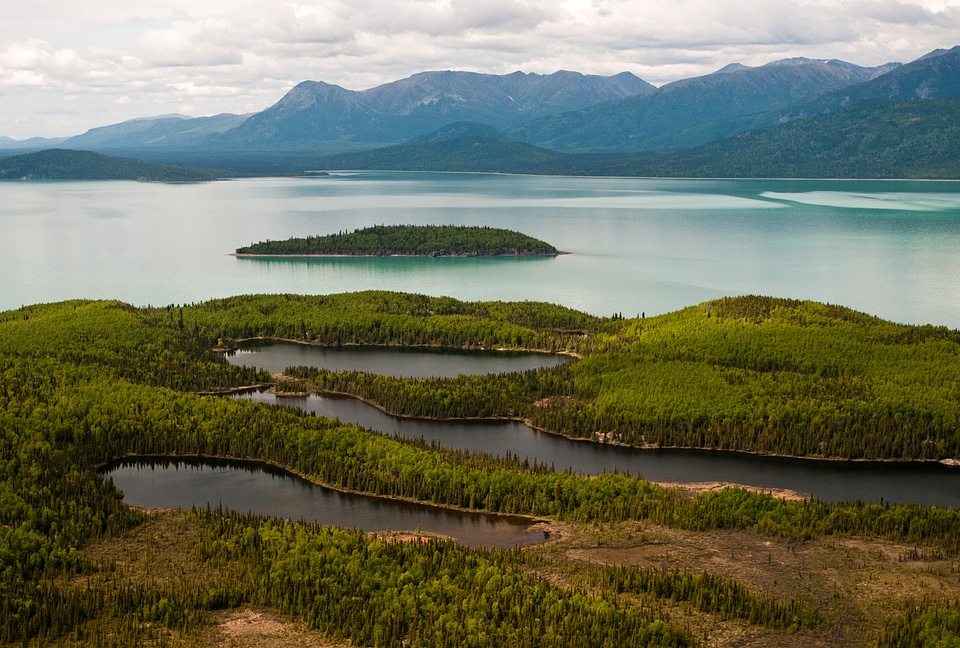 Tommy Island landscape with trees