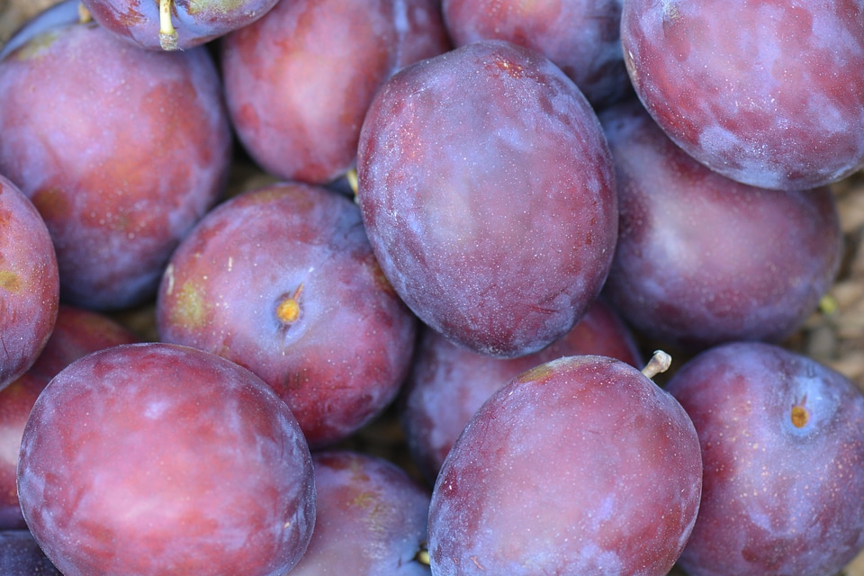 Fruit vitamins purple