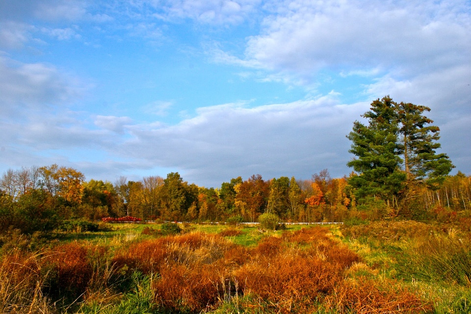 Fall Colors at Silvio O. Conte National Wildlife Refuge