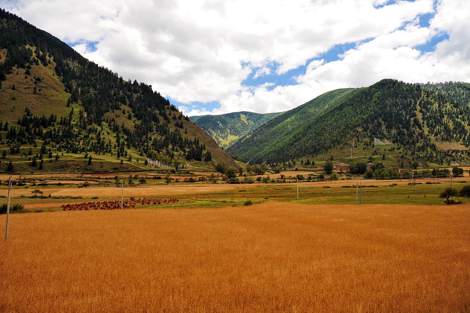 Mountains and Valley with farms and fields