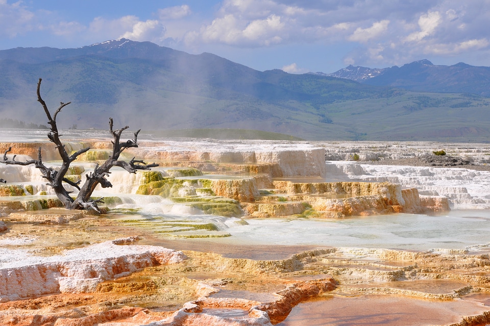 Yellowstone landscape near Mammoth Springs in Wyoming