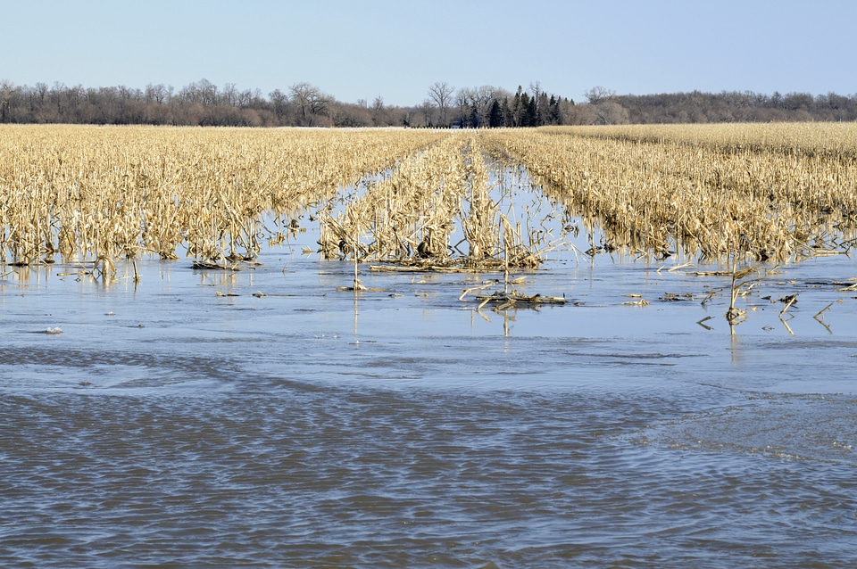Farmland being flooded by Missouri and Red Rivers in North Dakota