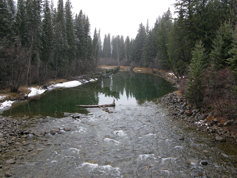 Miette River landscape in the winter at Jasper National Park, Alberta, Canada photo