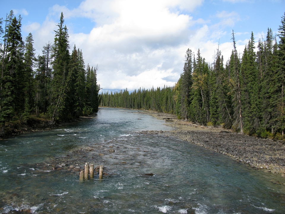 Whirlpool River landscape in Jasper National Park, Alberta, Canada