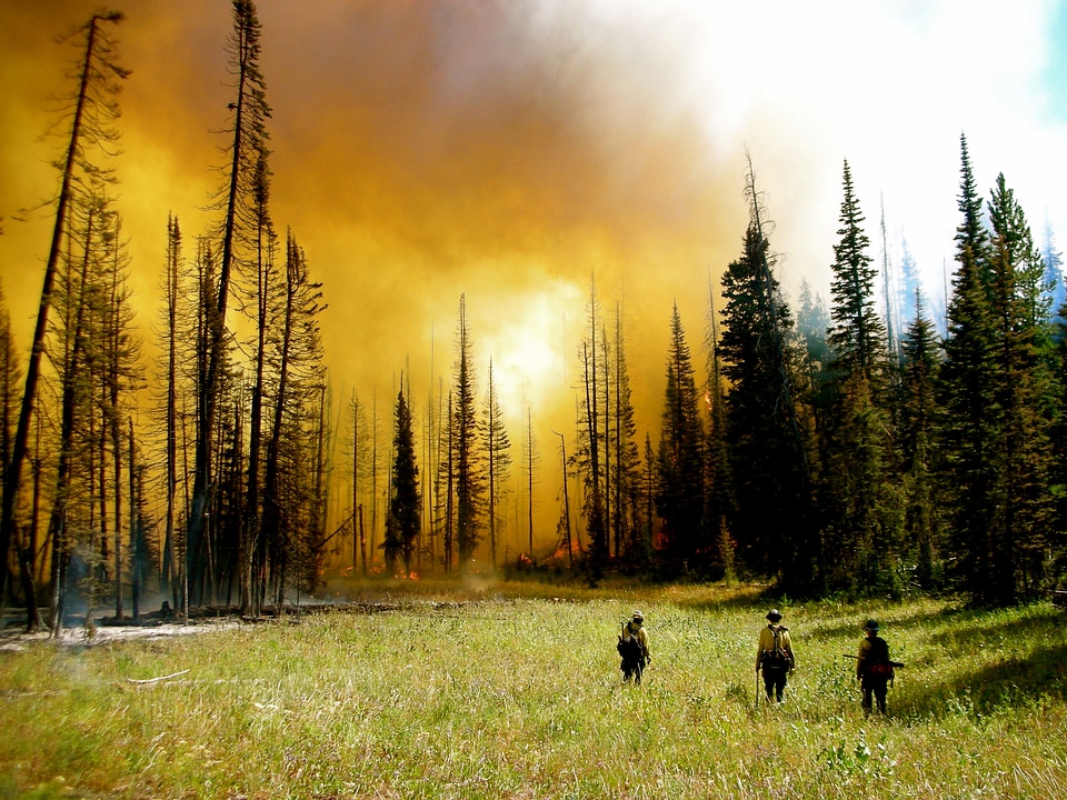 Wildfire at King's Peak