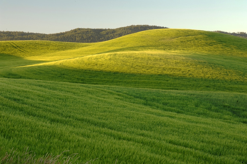 Green, Grassy hills landscape photo