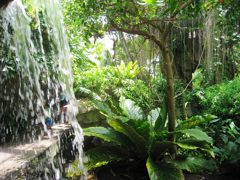 Cleveland Botanical Garden, Ohio