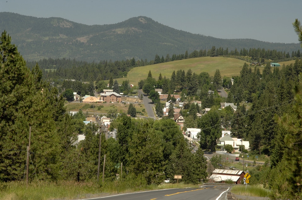 Forest and mountains in Troy, Idaho
