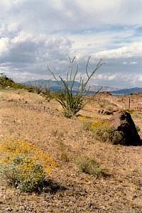 Landscape of the Desert around Lake Mead, Nevada photo
