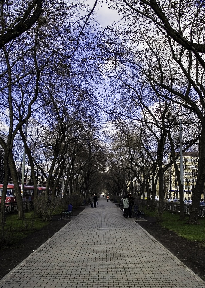 Lenina street boulevard Yekaterinburg, Russia