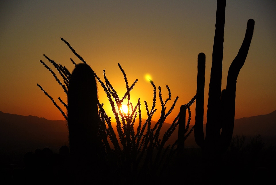 Landscape nature arizona