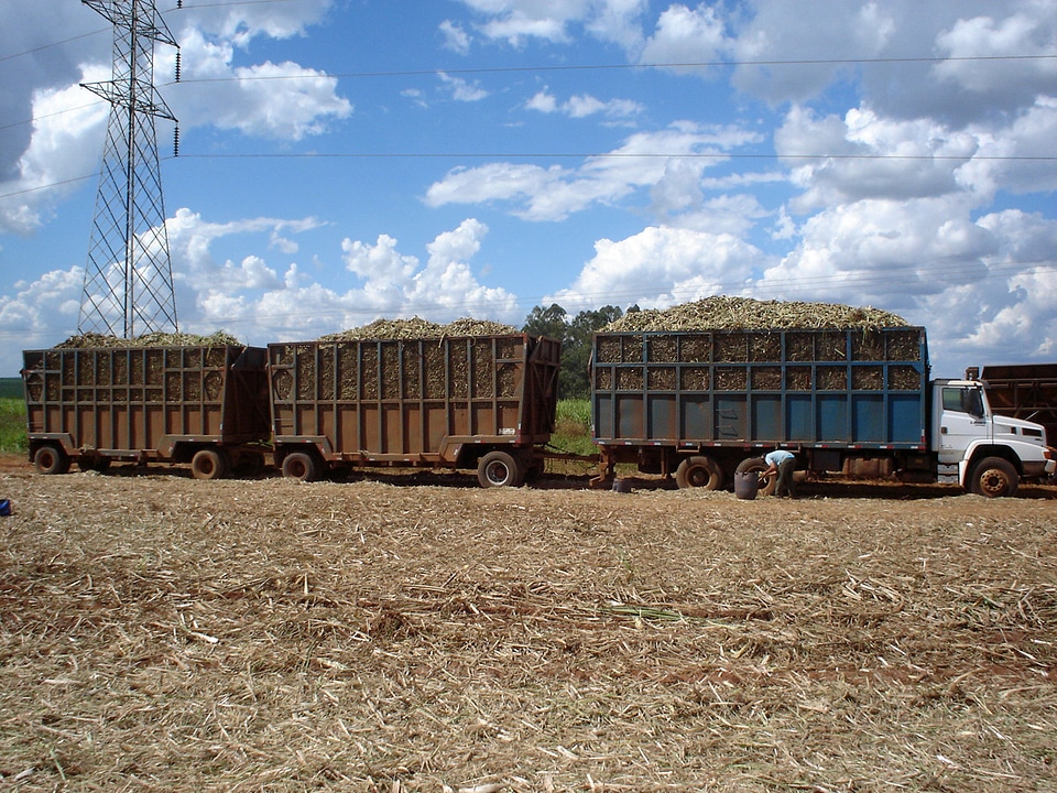 Typical sugarcane harvest transport near Ribeirão Preto, Brazil