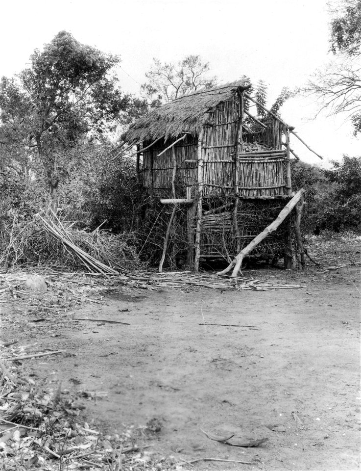 Majslada. Rio Itiyuro. Argentina - SMVK - 004943