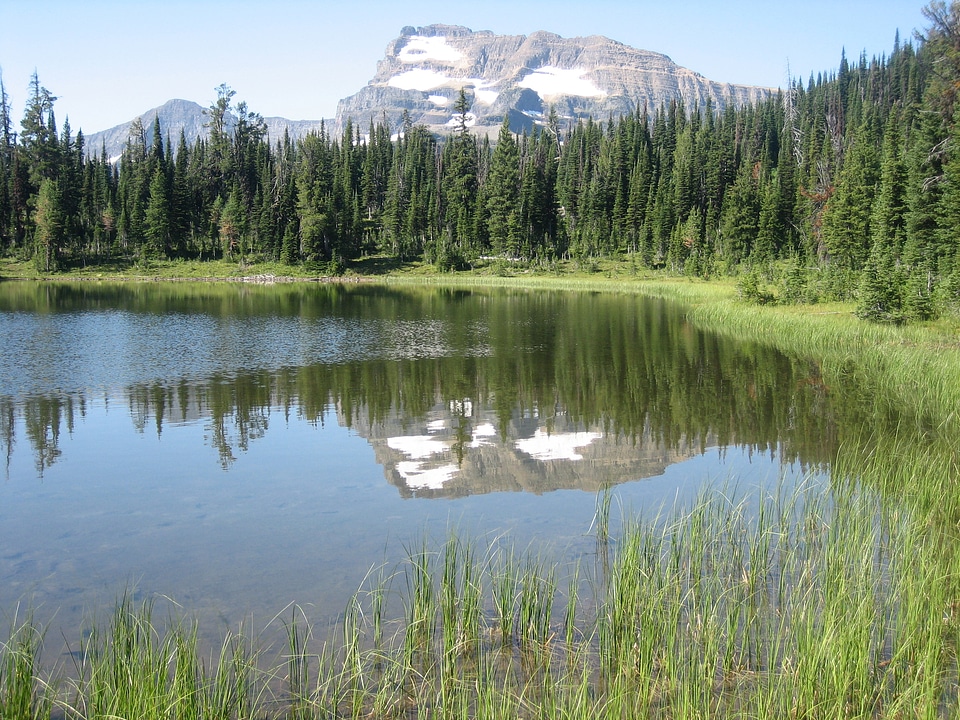 Summit lake summit Landscape in Waterton Lakes National Park