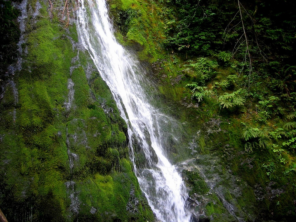 Rushing Water falling down at Olympic National Park, Washington