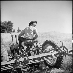 Monterey County, California. Rural youth. Mechanization, the agricultural employee. This young man is so skillful in... - NARA - 532178