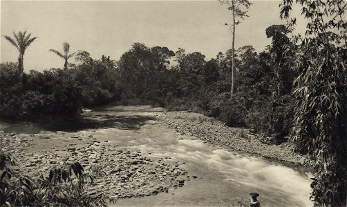 KITLV - 88342 - Kleingrothe, C.J. - Medan - River Bingai at plantation Namu Ukor of the Deli Company in Deli - 1905
