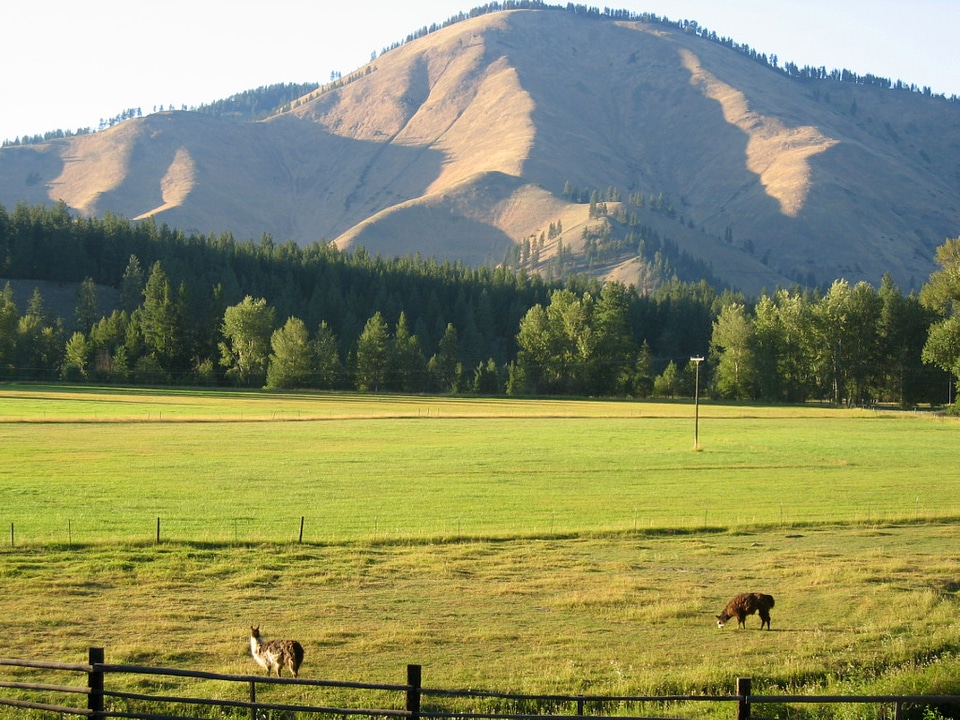 Ranch landscape with mountain near Superior, Montana