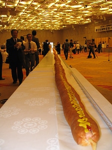 World's Longest Hotdog photo