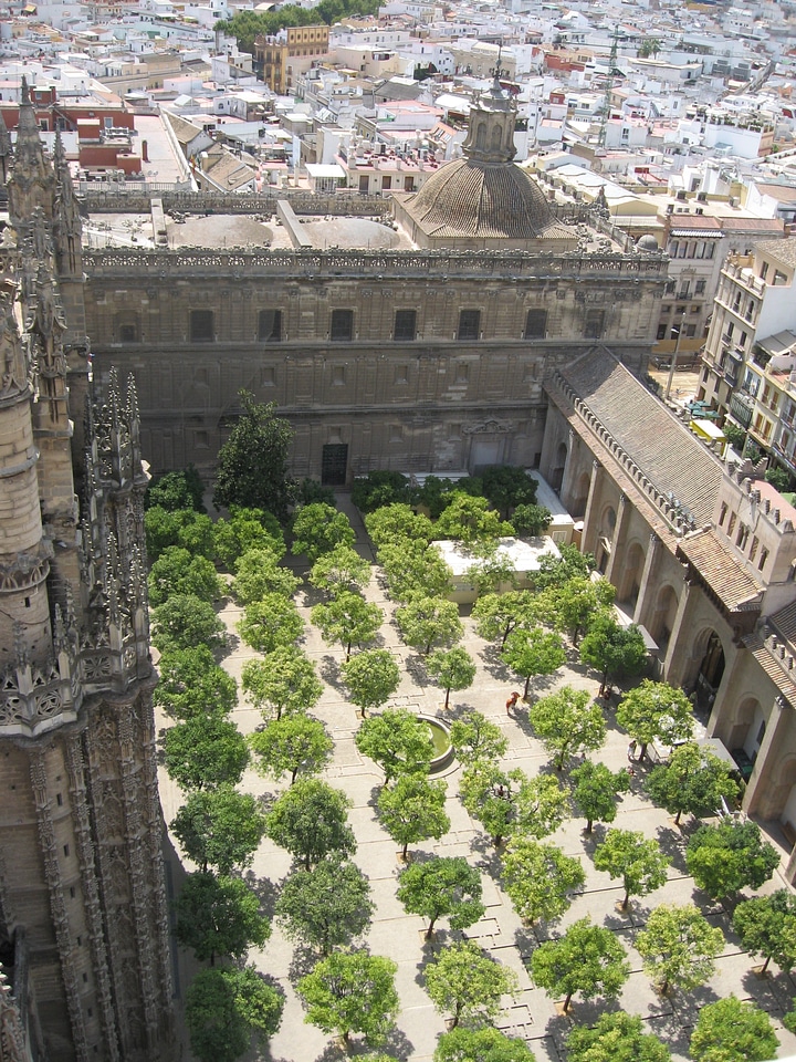 Courtyard of the Cathedral in Seville, Spain