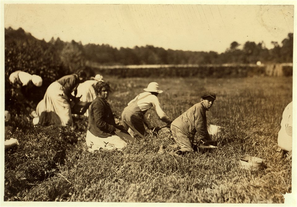 Mary Birch with two boys - John 14 - Tony 10. Six more younger children at home. The boys pick 18-20 pails a day. LOC nclc.00177