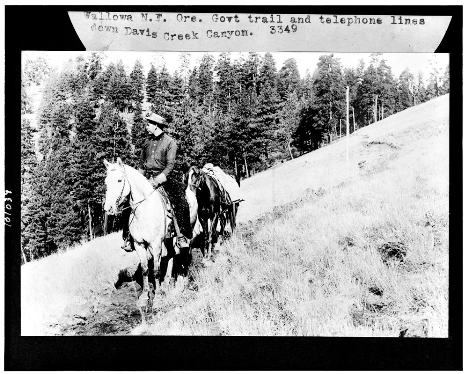 Man on horseback leading pack horse down Government trail, and telephone lines down Davis Creek Canyon, Wallowa National Forest, Oregon LCCN90709622