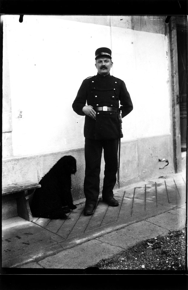 ArCJ - Gendarme, chien - 137 J 449 b