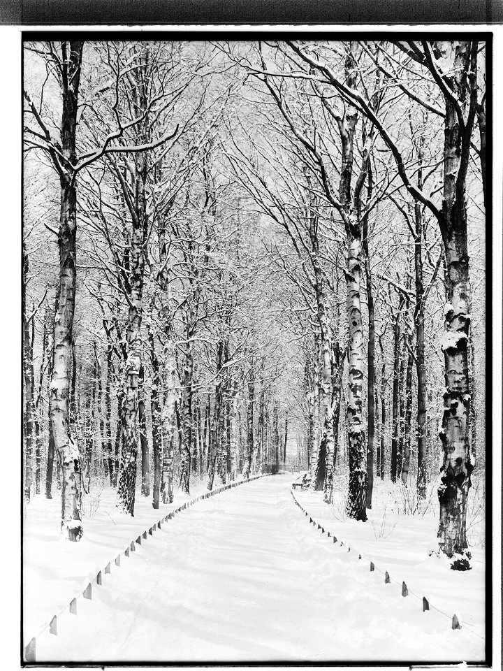 HANSif1095 Stadtpark